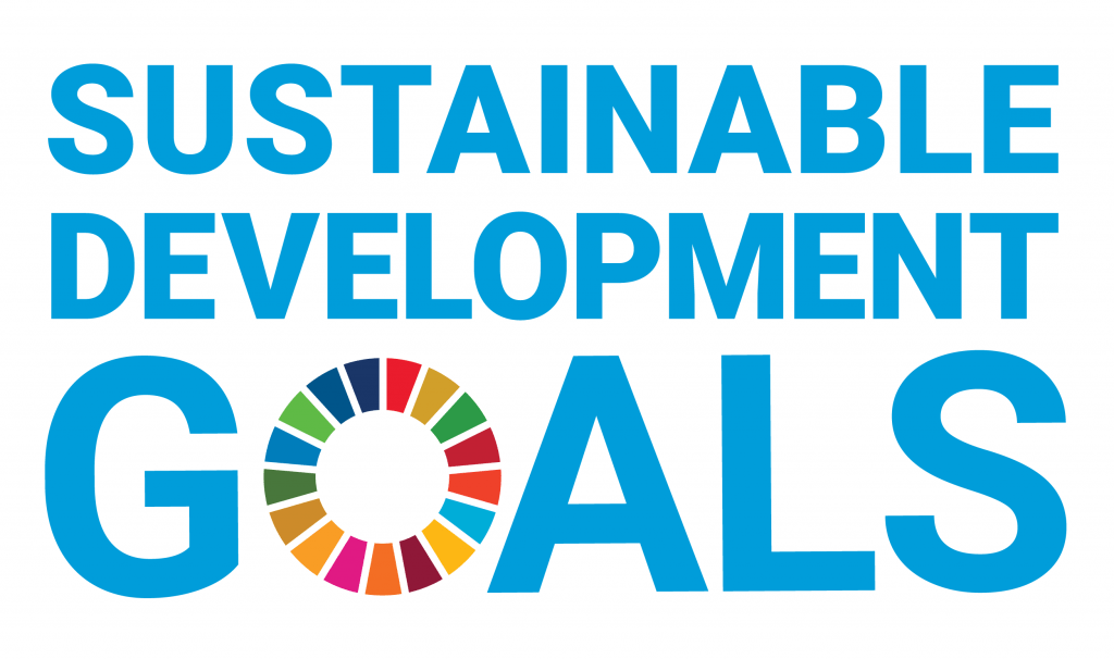 What are the UN Sustainable Development Goals?